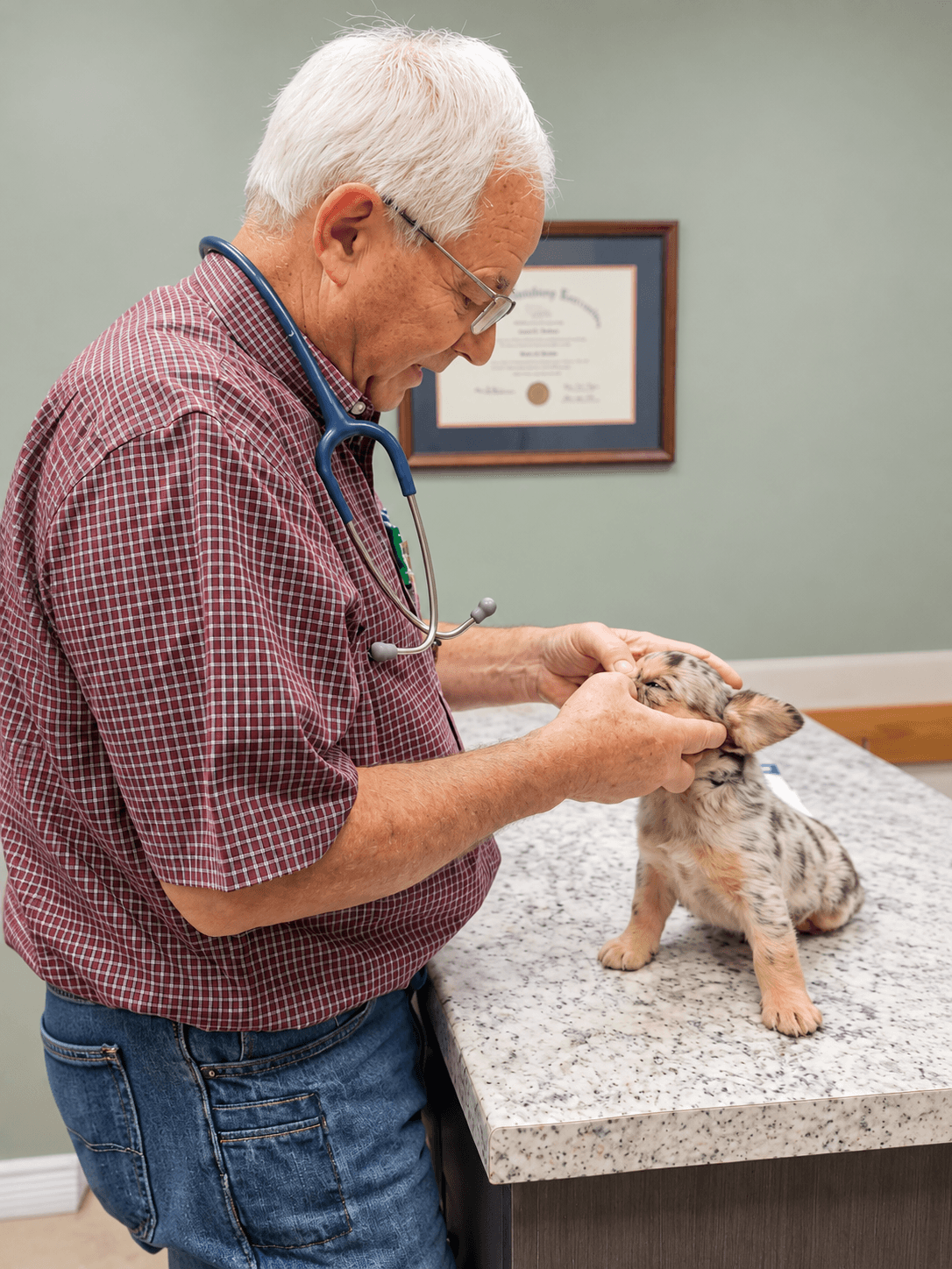 Careful evaluation of skin and allergy concerns.