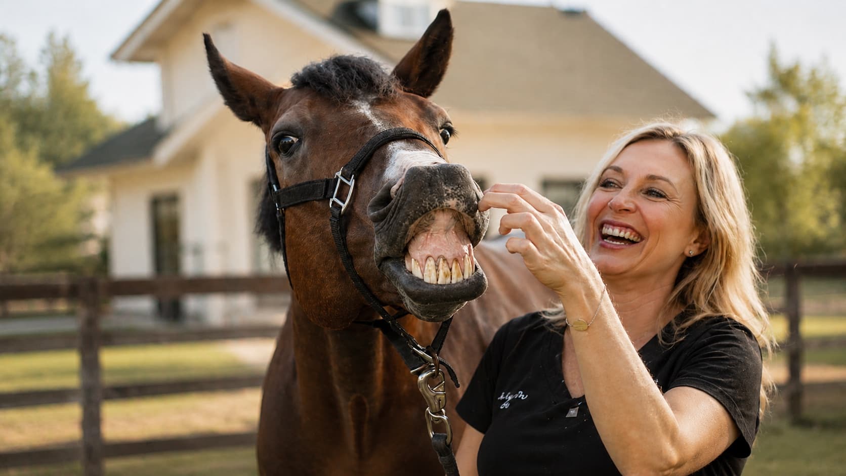 Large Animal & Equine Care